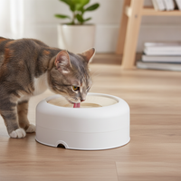 Mini Floating Pet Water Bowl for Small Dogs & Cats - No-Spill, Anti-Wet Mouth Design