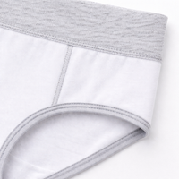 Ladies Underwear High Waist Briefs for Plus Size to 5XL, Womens Multipack with 95% Material for Daily Use