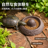 Turtle Feeding Dish, Reptile Water Bowl, Ceramic, Dark Brown, Non-slip, Anti-tip