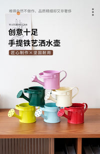 糖果色迷你洒水壶创意装饰铁皮花盆可爱小水壶儿童玩具铁艺花洒