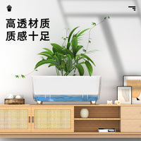欧林泽工厂一件代发G格瑞塔全透明自吸水懒人花盆双层吸水盆现货
