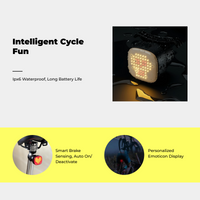 Waterproof USB bike light