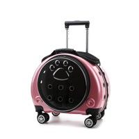 Caisse de Transport avec Roulettes Rigide Transporteur Transparent pour Voyage