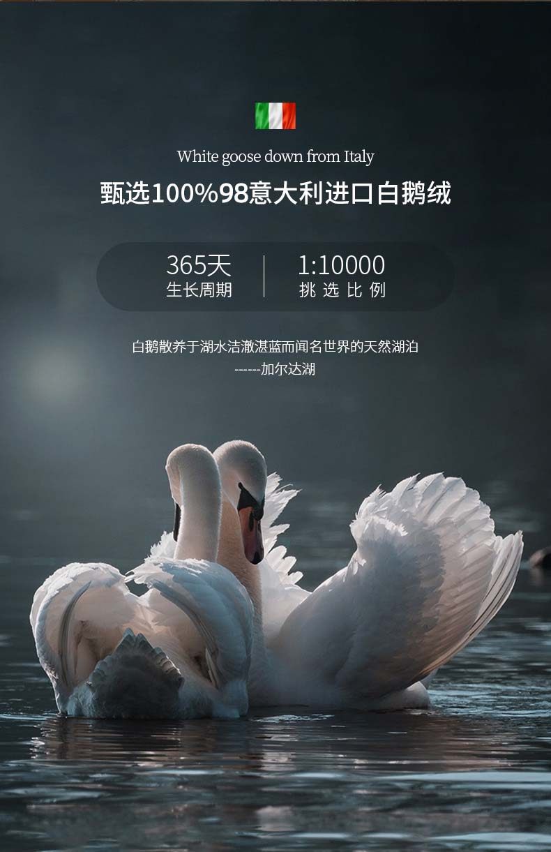 意大利进口真丝羽绒被98白鹅绒被子冬被加厚保暖静音地暖空调被芯