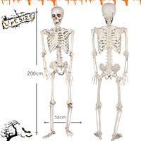 2 Meter Halloween Skeleton Decoration Prop