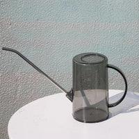 Stainless Steel Long Spout Watering Can with Transparent Body, 1L