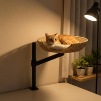 Desktop Cat Bed 360° Rotation Rotating Cat Bed Stand Elevated Pet Resting Station for Cats, Tabletop