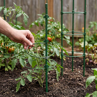 Garden Climbing Plant Support Trellis for Roses Clematis Morning Glory Potted Flowers