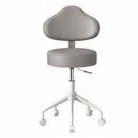 Adjustable Caster Stool with supportrest Rolling Casters for lab, Home Users