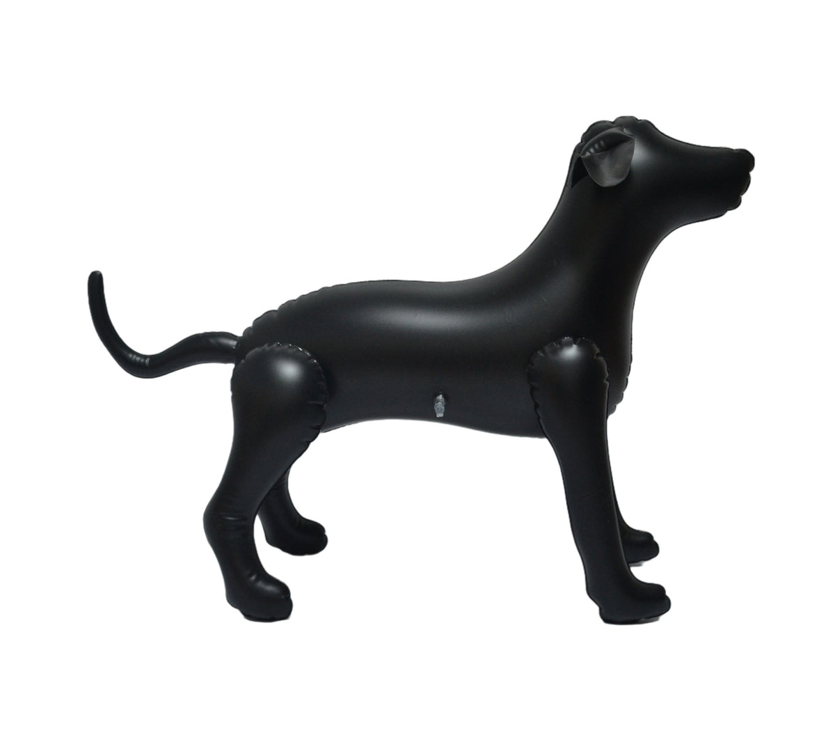 Medium Black Dog