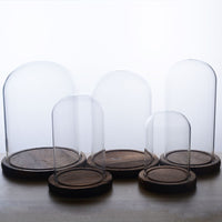 Glass Display Dome with Wooden Base for Dried Flowers and Micro Landscapes