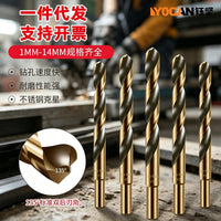 High-Precision HSS Twist Drill Bits for Woodworking (1-14mm)