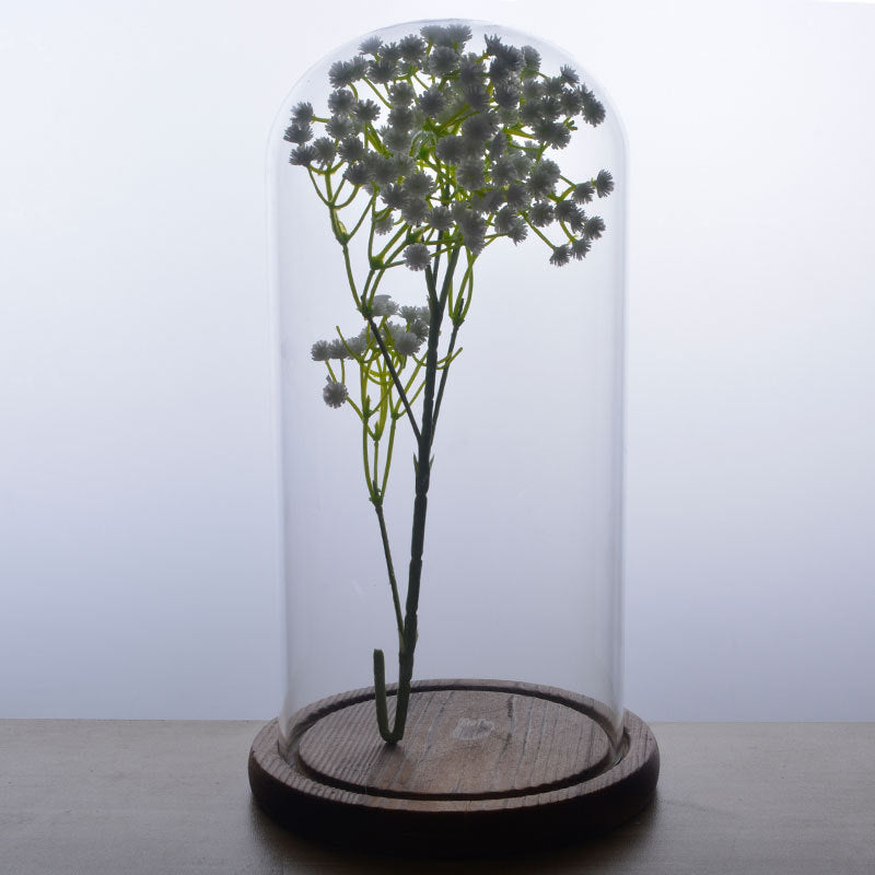 Glass Display Dome with Wooden Base for Dried Flowers and Micro Landscapes