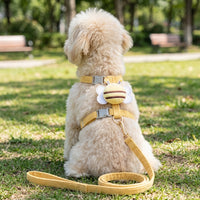 Small Dog Harness and Cat Walking Harness Pet Walking Set, Adjustable Dog Leash with Cartoon Graphic for Outdoor Pets Walking