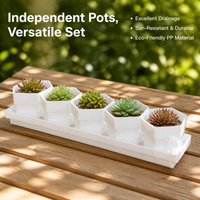 Shatterproof Planter, PP Plant Pots for Apartment Dwellers, Breathable Plant Pot with Drainage Holes, Small Pots for Indoor Use