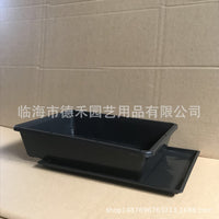 Rectangular PP Resin Seedling Trays for Succulents