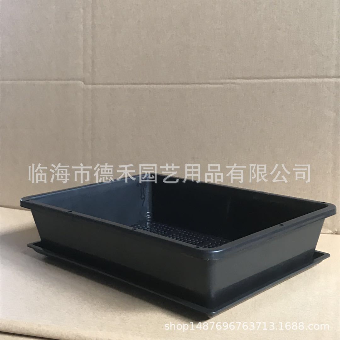 Rectangular PP Resin Seedling Trays for Succulents