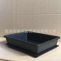 Rectangular PP Resin Seedling Trays for Succulents