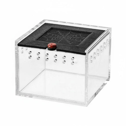 Acrylic Reptile Habitat Ventilated Design Transparent Arachnid Enclosure Secure Reptile Feeding Box for Hobbyists, Beginners, Desktop, Display
