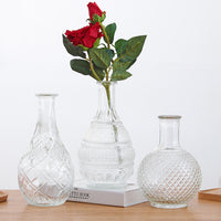 Nordic Ins Style Glass Vase for Hydroponic or Floral Arrangements, Retro Creative Home Decor