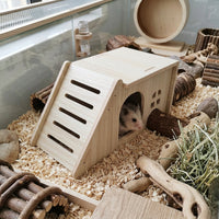Wooden Hamster House and Villa Multi-Piece Set, Solid Wood Habitat with Hamster Swing, Climbing Ladder and Hideouts for Dwarf Hamsters Gerbils