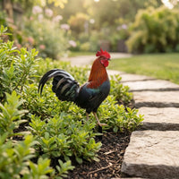 Acrylic Garden Insert Printed Chicken Decorative Stakes Lightweight for Lawn