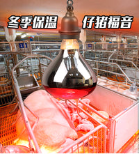 智牧人保温灯猪用小鸡取暖灯泡育雏保温灯养殖场专用红外线畜牧用