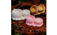 Gecko Feeding Bowl Stable Base Pet Supplies Portion Control