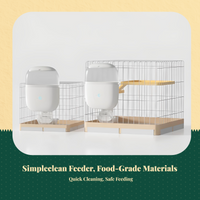 Automatic timed feeder for pets