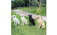 Seated Labrador Statue Floppy Ears Labrador Dog Sculpture Large Home Decoration