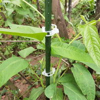 Plant Support for Climbing Plants and Greenhouse Clips, White Plastic Ring Clip Design, Secure Trellis Clips, Versatile Plant Wall Clips Set