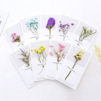 Simple Dried Flower Greeting Card for Valentine's Day, Birthday, and DIY Messages