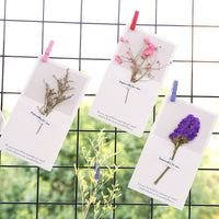Simple Dried Flower Greeting Card for Valentine's Day, Birthday, and DIY Messages