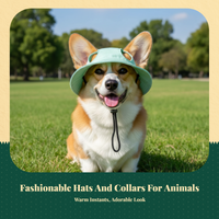 Pet Hat Adjustable buckle, lightweight Fits small dogs, cats