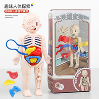 Simulated Human Skeleton Model Teaching Set STEAM Science Education DIY Assembly Toy for Students