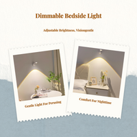 Cordless rechargeable LED wall sconce