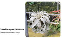 twirl Shaped helical Air Plant Holder Geometric Design Wireframe Plant Holder Minimalist artistic elevated Planter 360-Degree View for Gardening aficionados, Home Decorators, Office Workers, Indoors, Living Room, By a windowpanepane, Wedding Decoration