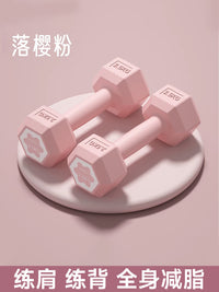 哑铃女士健身家用器材女生小哑铃2kg2.5公斤3KG一对男士杠铃壶铃