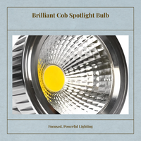 COB Par30 LED Spotlight E27 Base