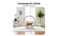 Quiet Operation feline Exercise Wheel Promotes Fitness Feline Treadmill Large Size Pet Furniture Stable Base for Indoors, Living Room, Home