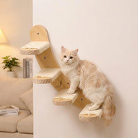 Cat Climbing Wall with Wooden Shelf and Perch, Modern Frame Including House and Pad, Indoor Furniture for Large Cats and Kittens