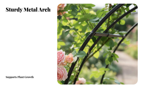 Reinforced Design Wrought Iron Flower Arch Long-Lasting Metal Garden Arch Multi-Purpose Climbing Plant Archway Weather-Resistant for Gardeners, Event Planners, Pathway, Backyard, Patio, Balcony