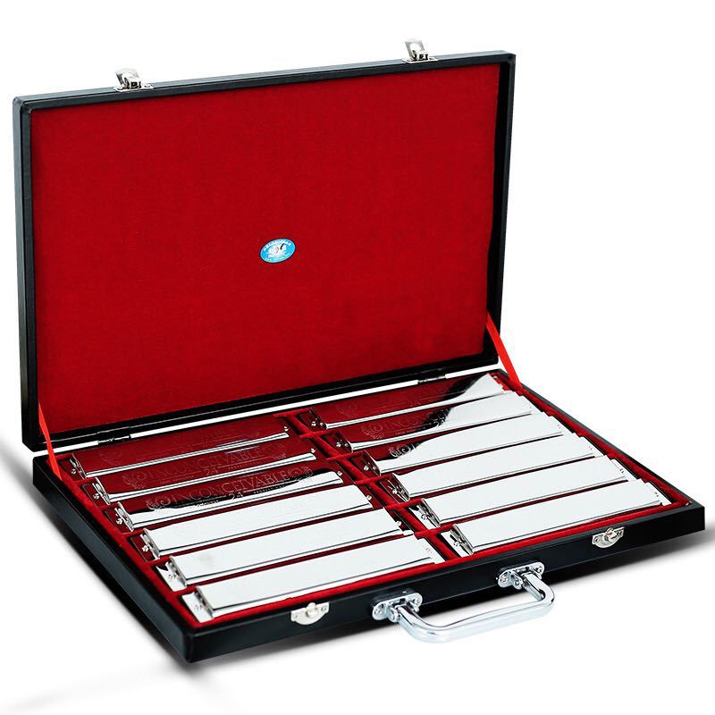 Swan 24-Hole Harmonica Set, 12 Keys, Wooden Box