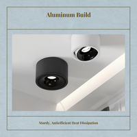 Adjustable LED ceiling spotlight