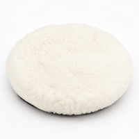 polishing pad kit