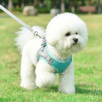 Dog Harness and Cat Harness with Dog Leash and Cat Leash Set, Nylon Vest Style Comfort No Pull Reflective Harness for Training Small Pets Outdoor