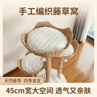 Solid Wood Cat Tree with Scratching Posts and Condo for Medium Cats