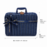 Carry-On Suitcase, M Size, Lightweight, 26x17x11cm, Hand-Woven Synthetic Material, Handheld, Travel Accessory Storage