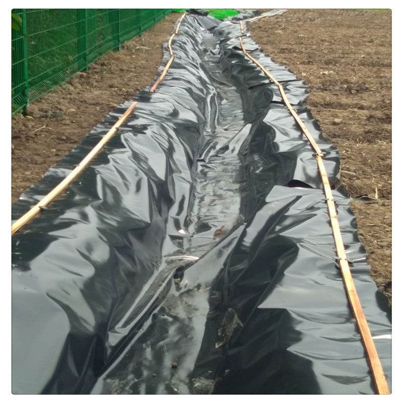 庭院养鱼池水池防水膜/景观湖防渗土工膜/黑色白色防渗水用土工膜