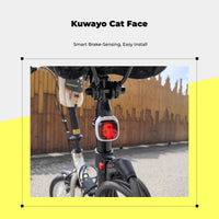 Brake-sensing waterproof bike light